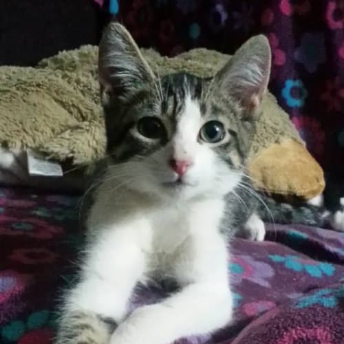 Otis (Mr Personality)