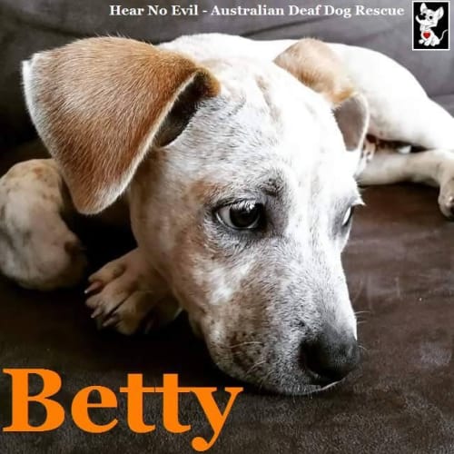 Betty