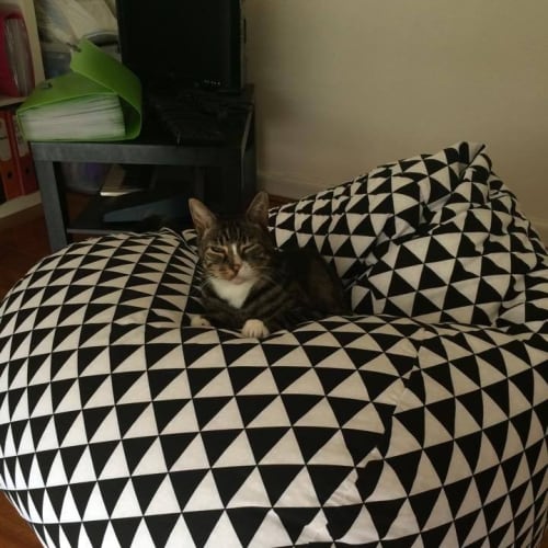 Max