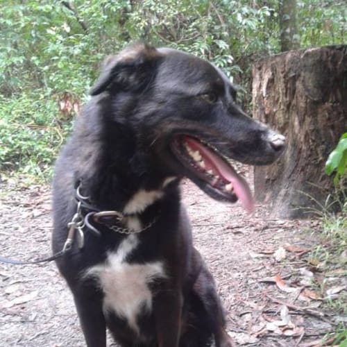 Max