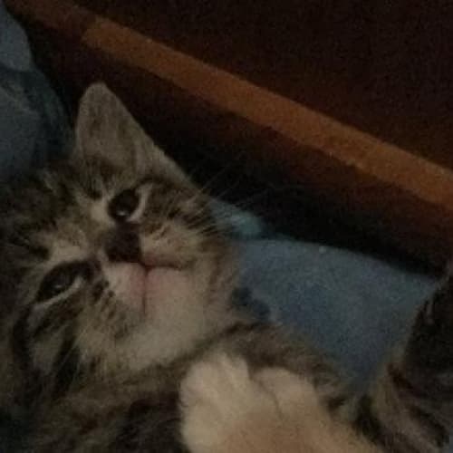 Perry