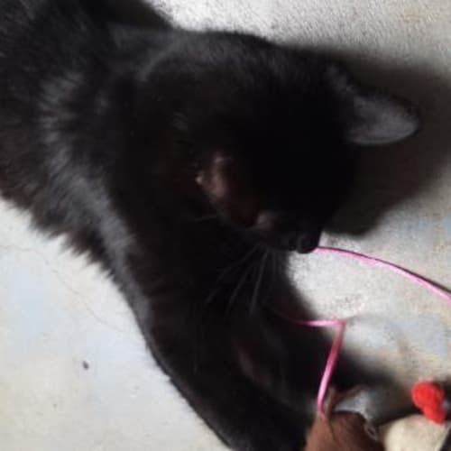 Luna