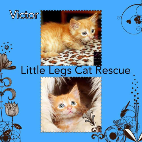 Victor 
