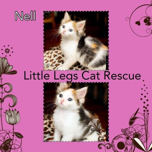 Nell