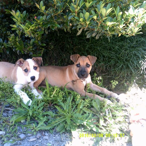 Maya & Liam On Trial