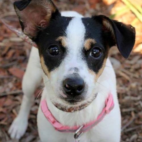 Maggie