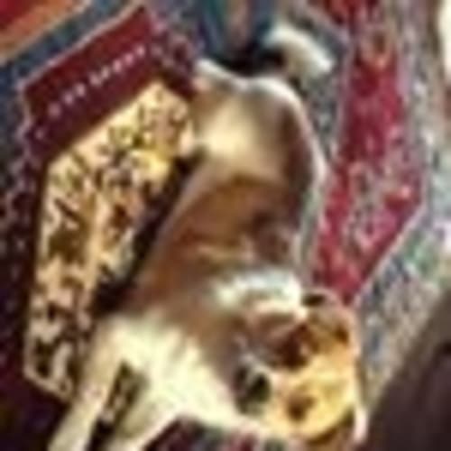 Hobson (adoption pending)