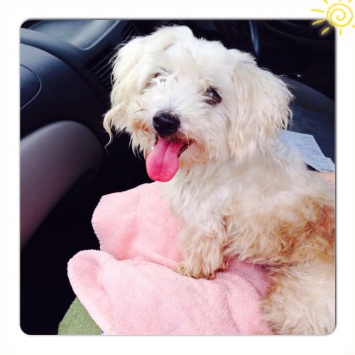 Bobby ** A Sweet Little Soul **