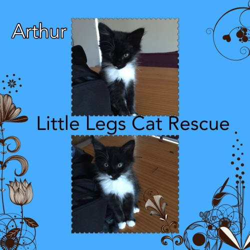 Arthur
