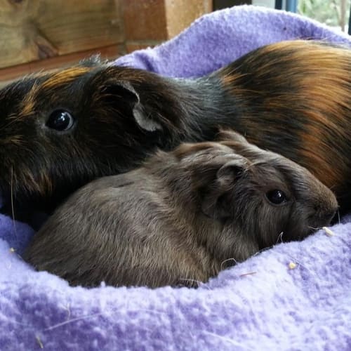 Amy and Claudia