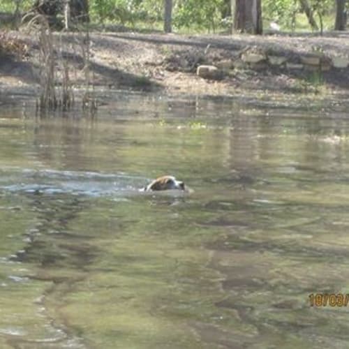 Parker (adoption pending)