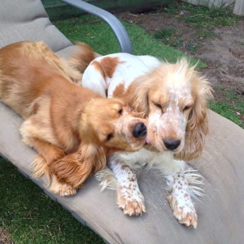Penny & Sandy