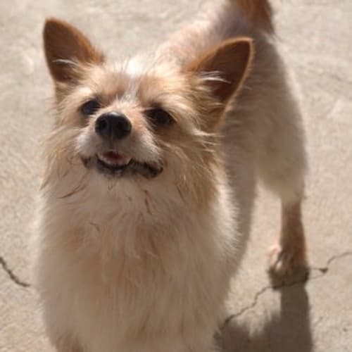 Marco ** A Special Needs **