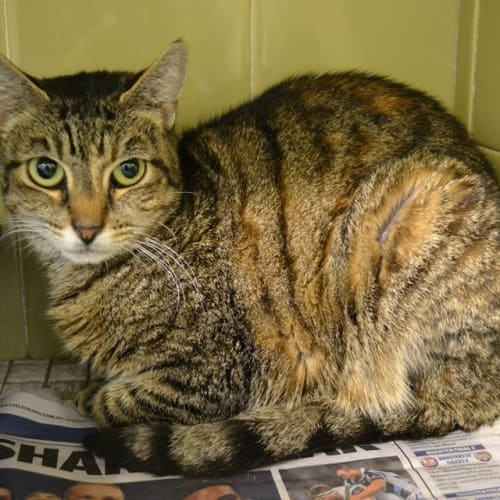 No photo for Eva Needs To Bust Out Of The Pound!