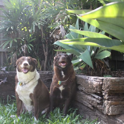 Bundy&Eski