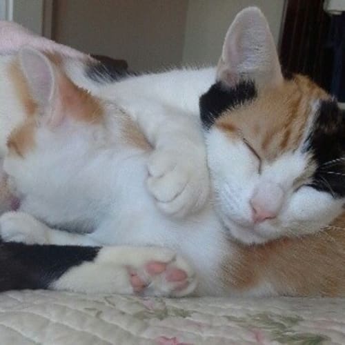 Fergus & his Mum Sally