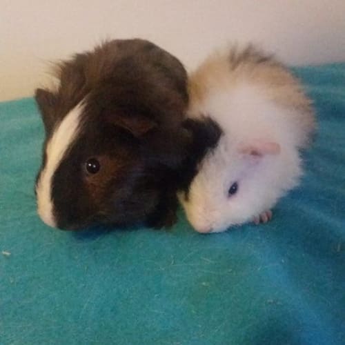 Neo and Corey