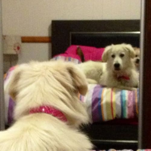 Lilah 