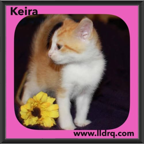 Keira 