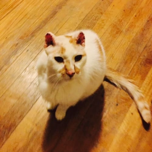 Frankie ** a very special boy **