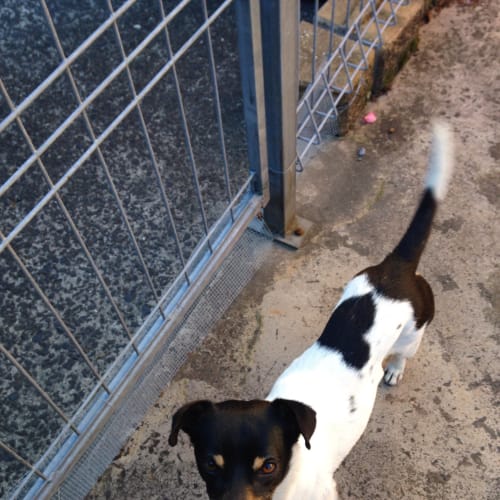 Leroy