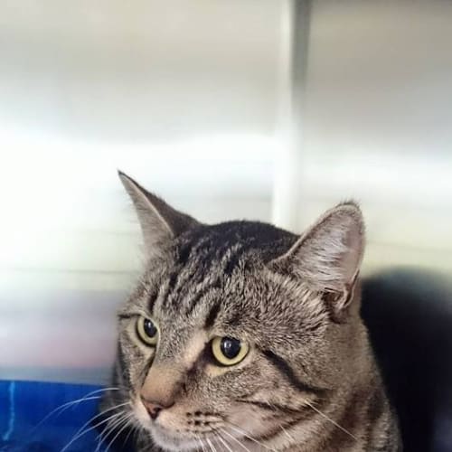 Timothy @ The Pet House Tuggerah