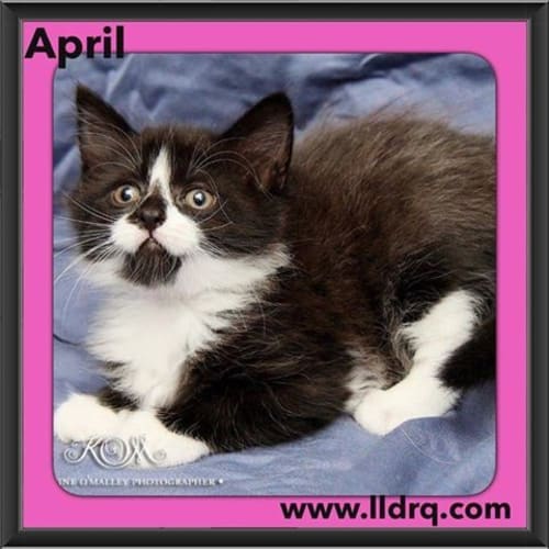 April 