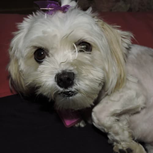 Molly