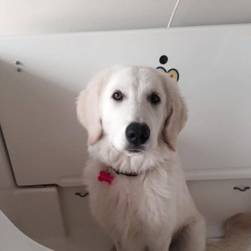 Molly