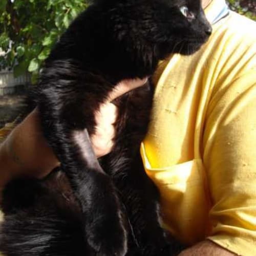 Midnight Now only $100