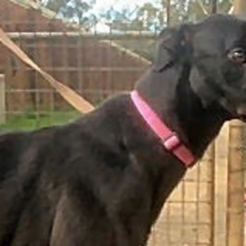 Corey is checking out his new home