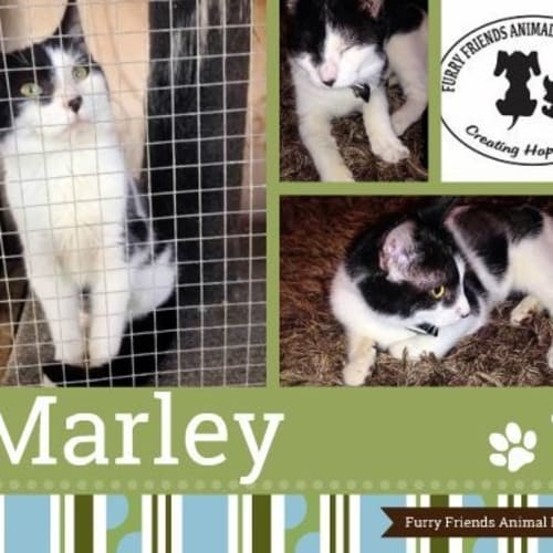 Marley