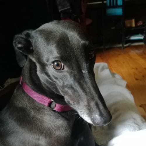 Cassie is checking out her new home