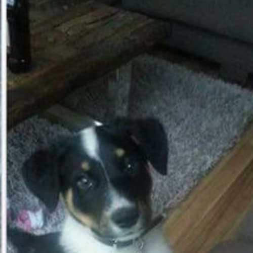 Max