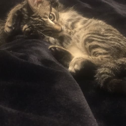 Quinn