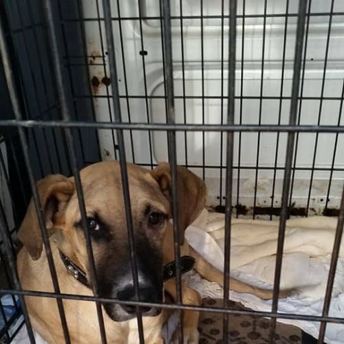 Reubin (adoption pending)