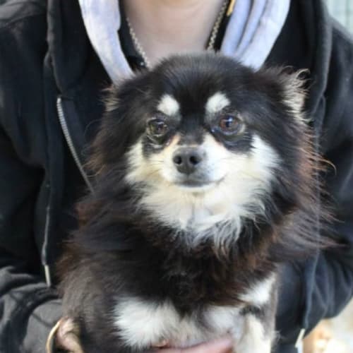 Benny