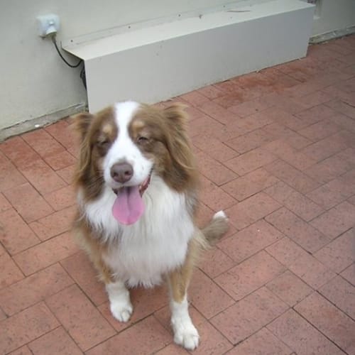 Kepler