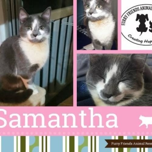 Samantha