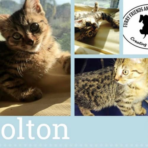 Colton