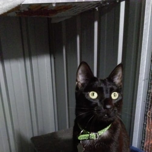 Jack 