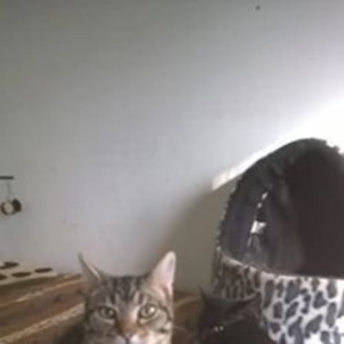 Terry @ Squawks Pet Store