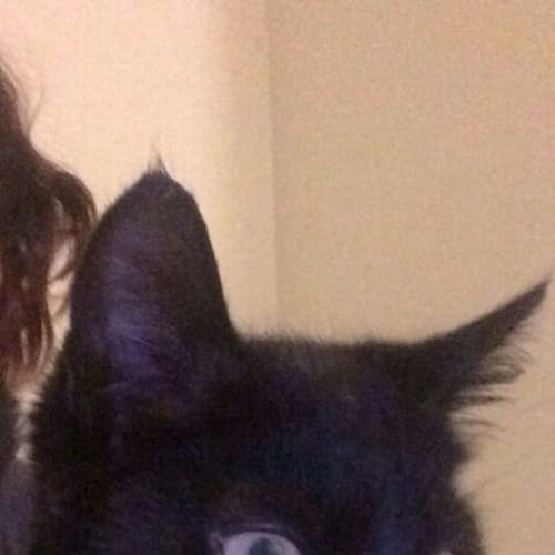 Blacky Chan