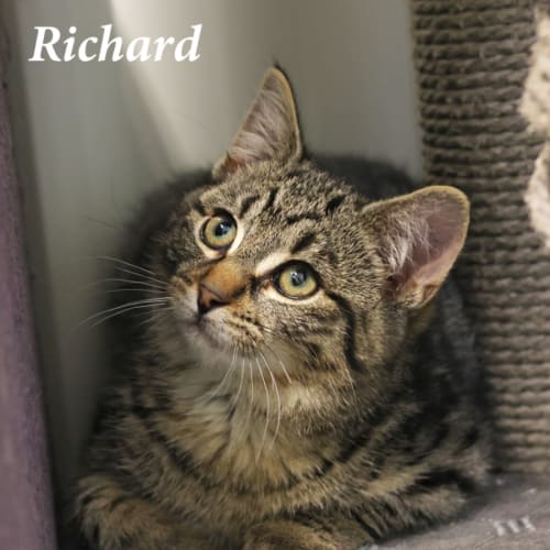 Richard