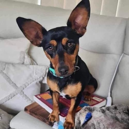 💖💖 Coco 💖💖