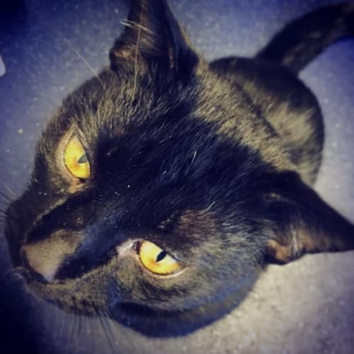 Salem