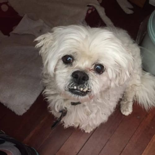 George $200 Jan Only *Golden Oldie*