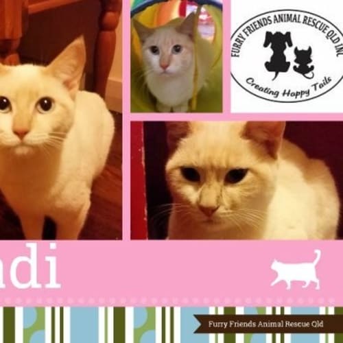 Sadi
