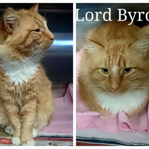 Lord Byron