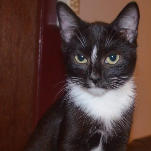 Arial @ The Pet House, Tuggerah